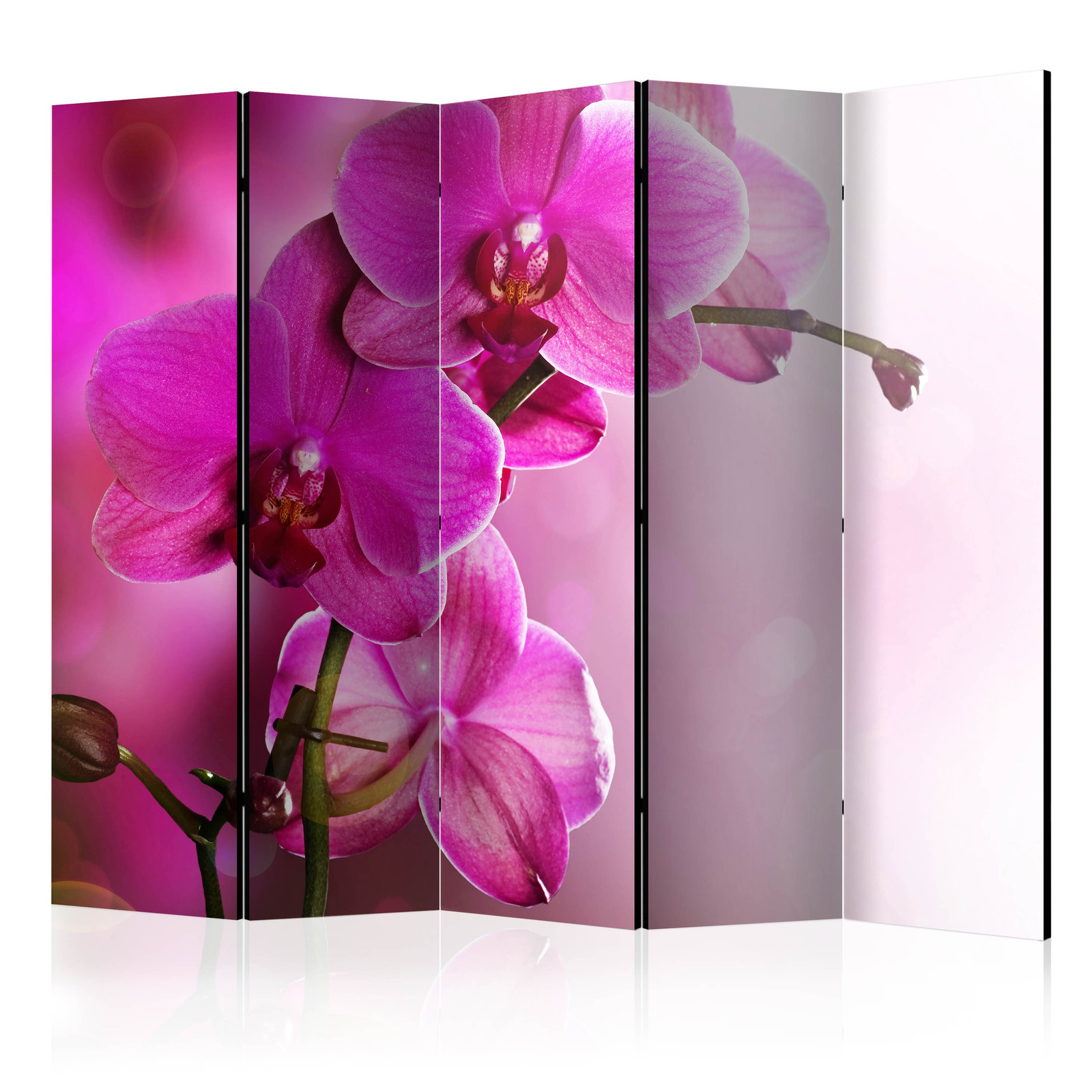 Διαχωριστικο Δωματιου - Pink Orchid Ii Ηχοαπορροφητικο 225x172cm
