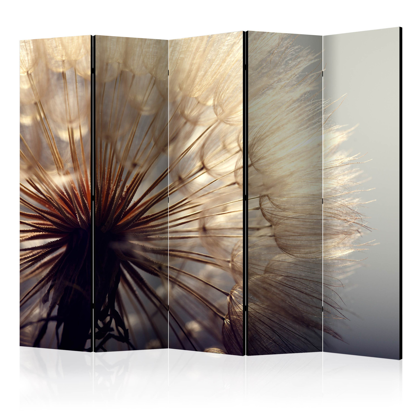 Διαχωριστικο Δωματιου - Dandelion Kiss Ii Διπλης Οψης 225x172cm