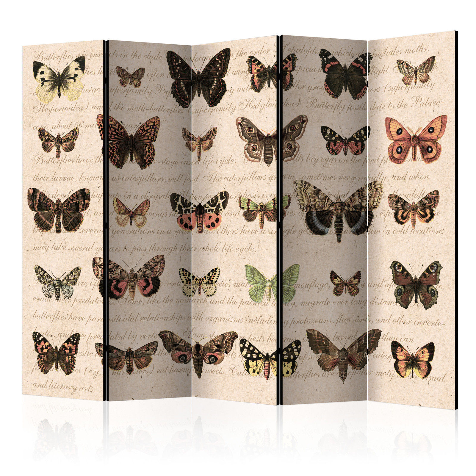Διαχωριστικο Δωματιου - Retro Style: Butterflies Ii Ηχοαπορροφητικο 225x172cm