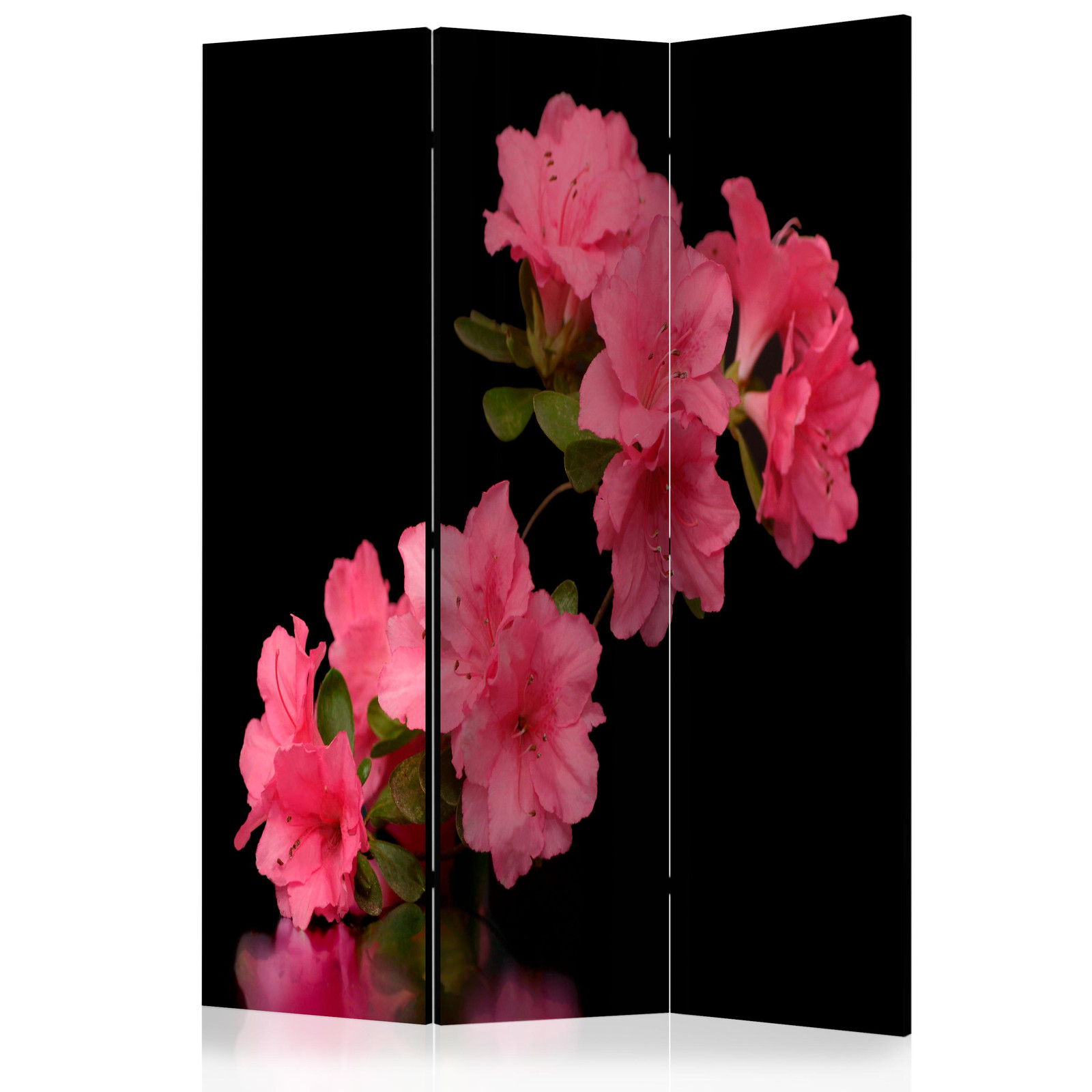 Διαχωριστικο Δωματιου - Azalea In Black Ηχοαπορροφητικο 135x172cm