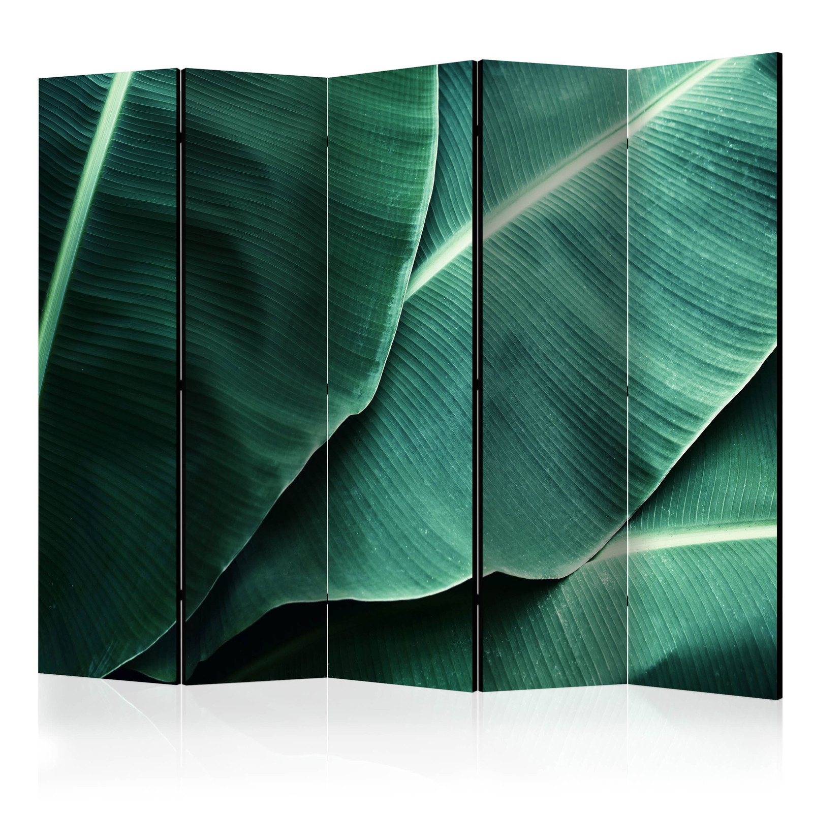 Διαχωριστικο Δωματιου - Banana Leaf Ii Ηχοαπορροφητικο 225x172cm
