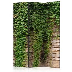 Διαχωριστικο Δωματιου - Ivy Wall Μονης Οψης 135x172cm