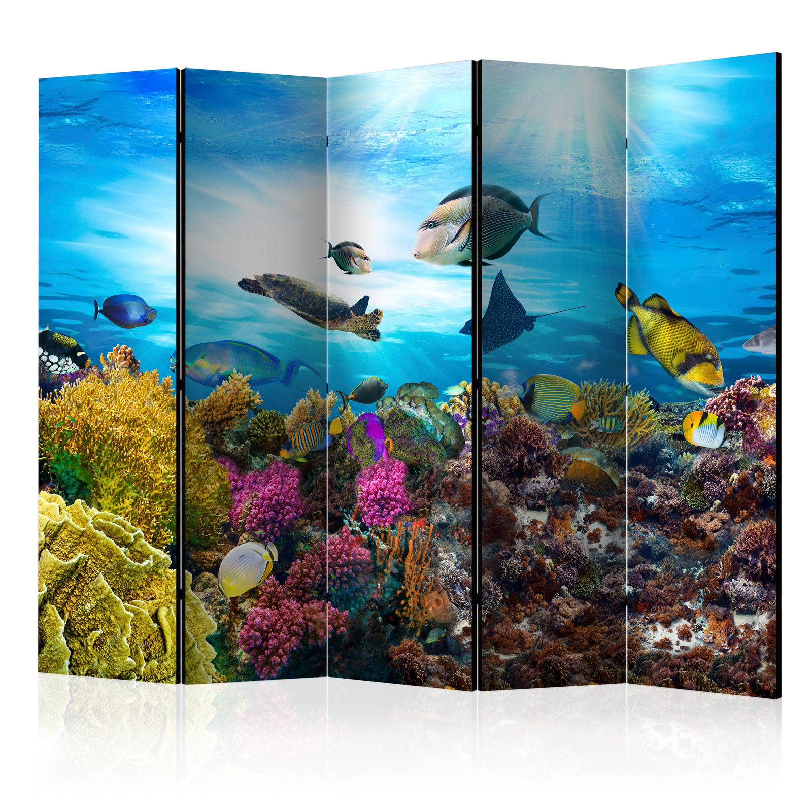 Διαχωριστικο Δωματιου - Coral Reef Ii Ηχοαπορροφητικο 225x172cm
