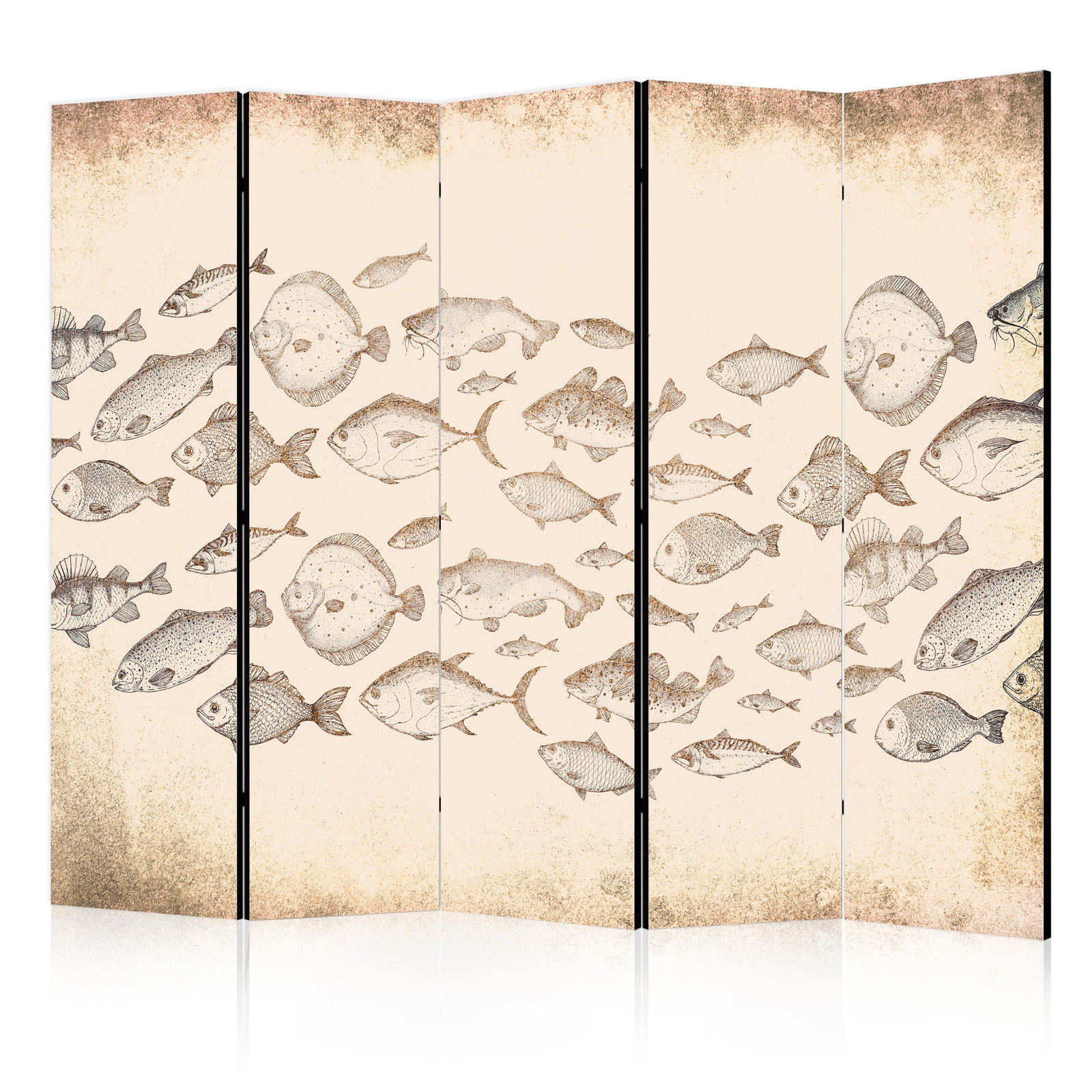Διαχωριστικο Δωματιου - Sketch Of A Fish School - Sketches Of Various Fish Species Swimming In A School On A Beige Background In Vintage Style Μονης Οψης 225x172cm