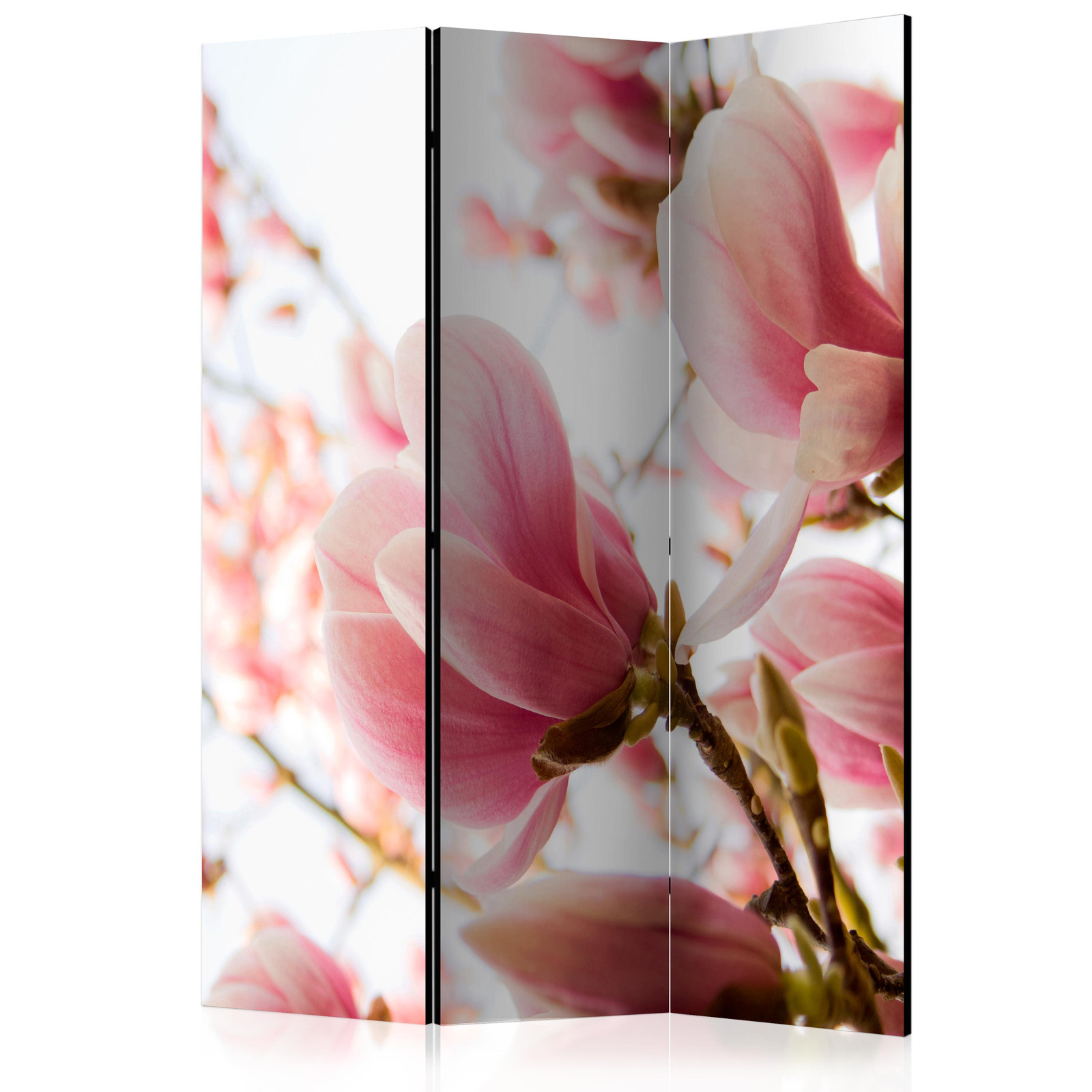 Διαχωριστικο Δωματιου - Pink Magnolia Ηχοαπορροφητικο 135x172cm