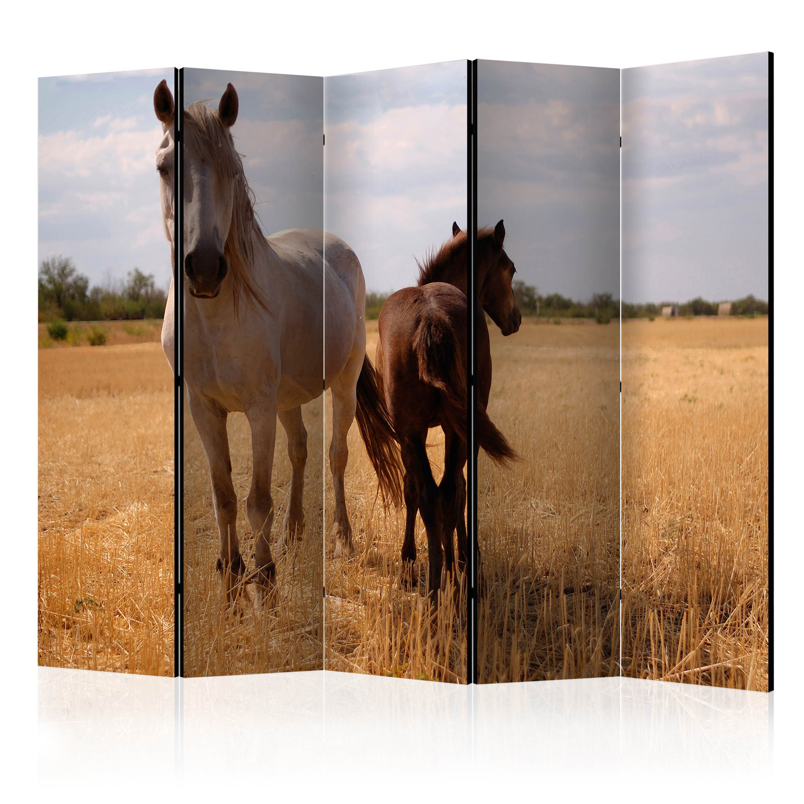 Διαχωριστικο Δωματιου - Horse And Foal Ii Ηχοαπορροφητικο 225x172cm