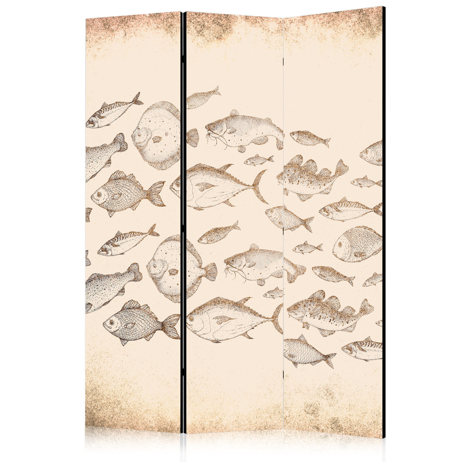 Διαχωριστικο Δωματιου - Sketch Of A Fish School - Sketches Of Various Fish Species Swimming In A School On A Beige Background In Vintage Style Μονης Οψης 135x172cm