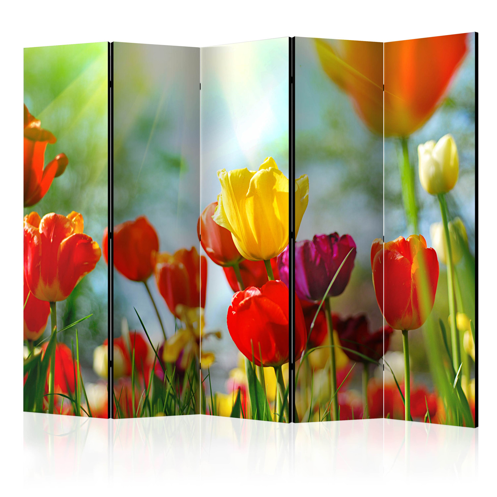 Διαχωριστικο Δωματιου - Spring Tulips Ii Ηχοαπορροφητικο 225x172cm