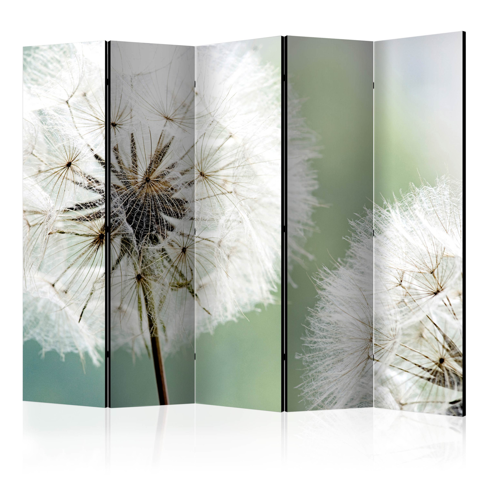 Διαχωριστικο Δωματιου - Two Dandelions Ii Ηχοαπορροφητικο 225x172cm