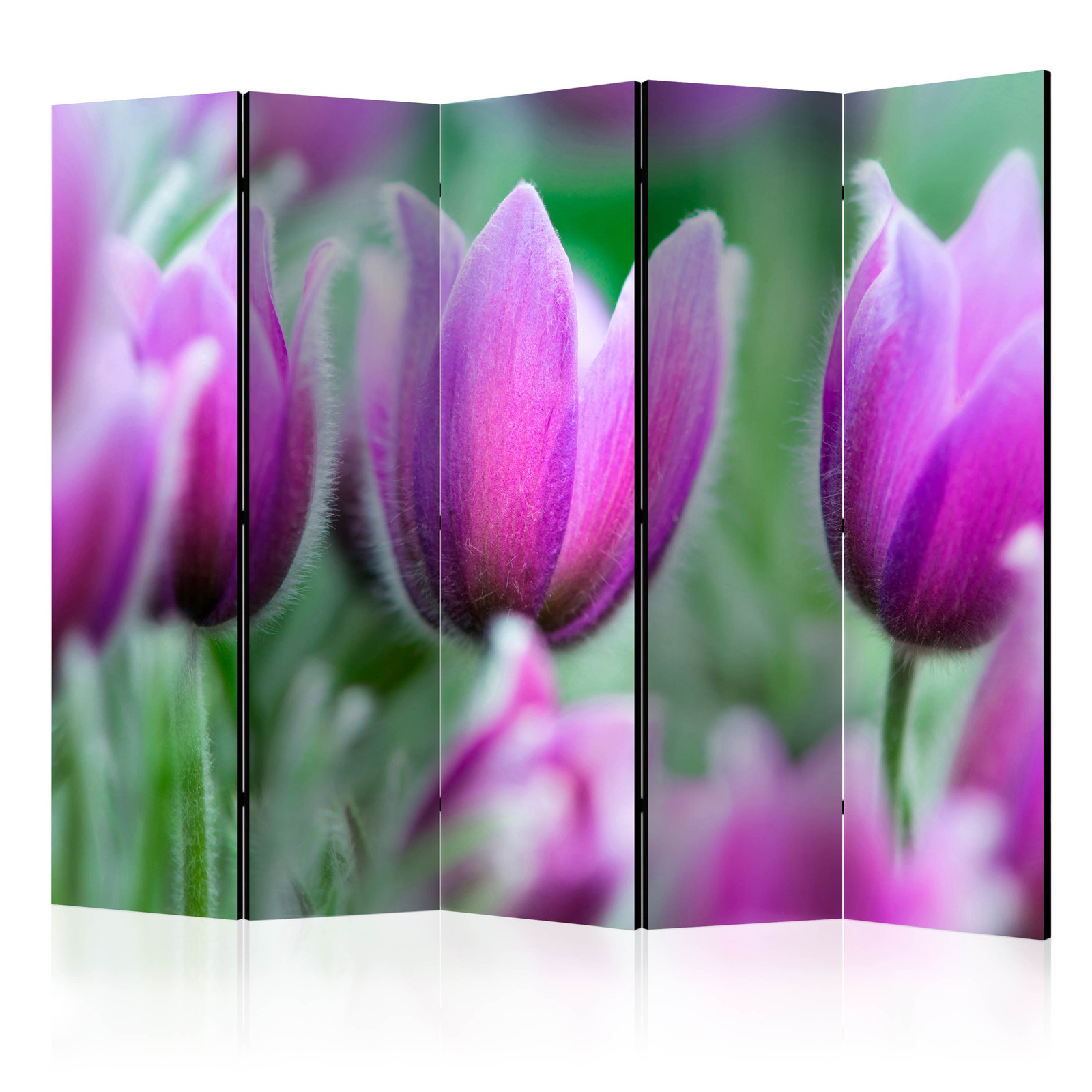 Διαχωριστικο Δωματιου - Purple Spring Tulips Ii Ηχοαπορροφητικο 225x172cm