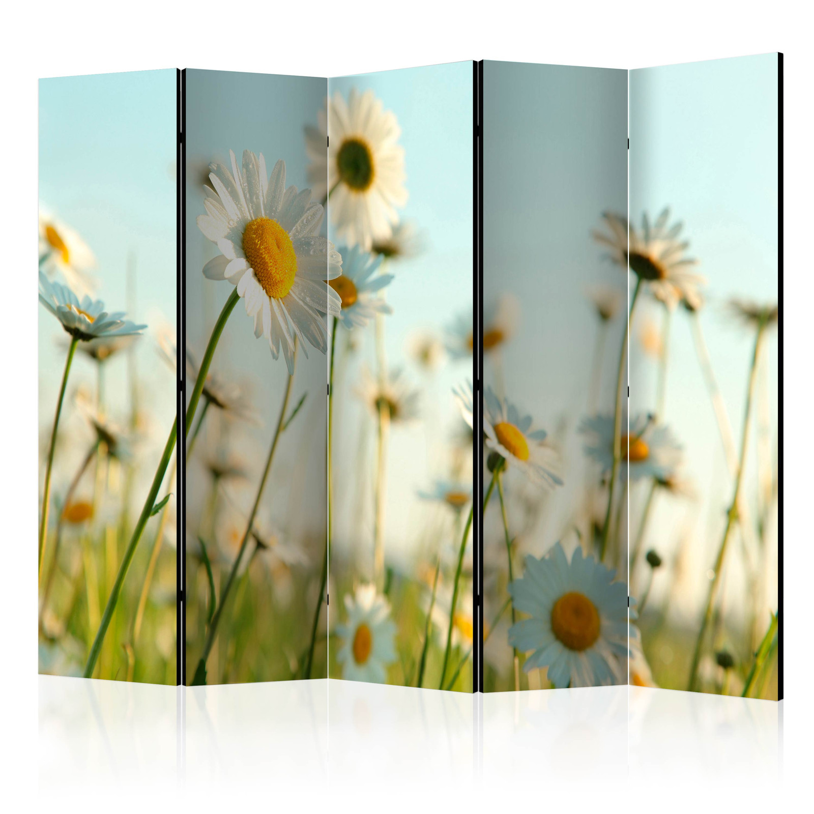 Διαχωριστικο Δωματιου Daisies Spring Meadow Ii Ηχοαπορροφητικο 225x172cm