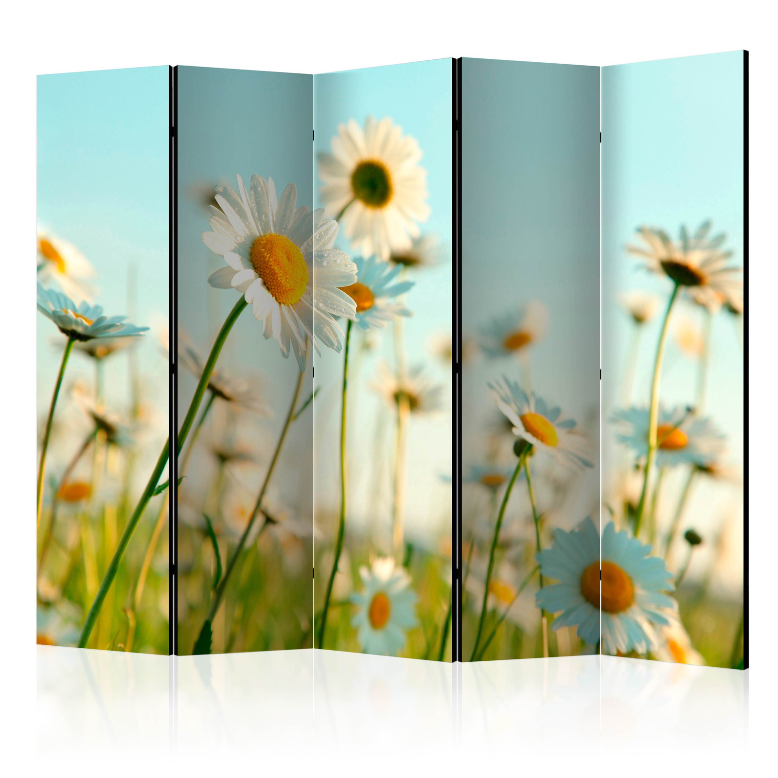 Διαχωριστικο Δωματιου - Daisies - Spring Meadow Ii Ηχοαπορροφητικο 225x172cm
