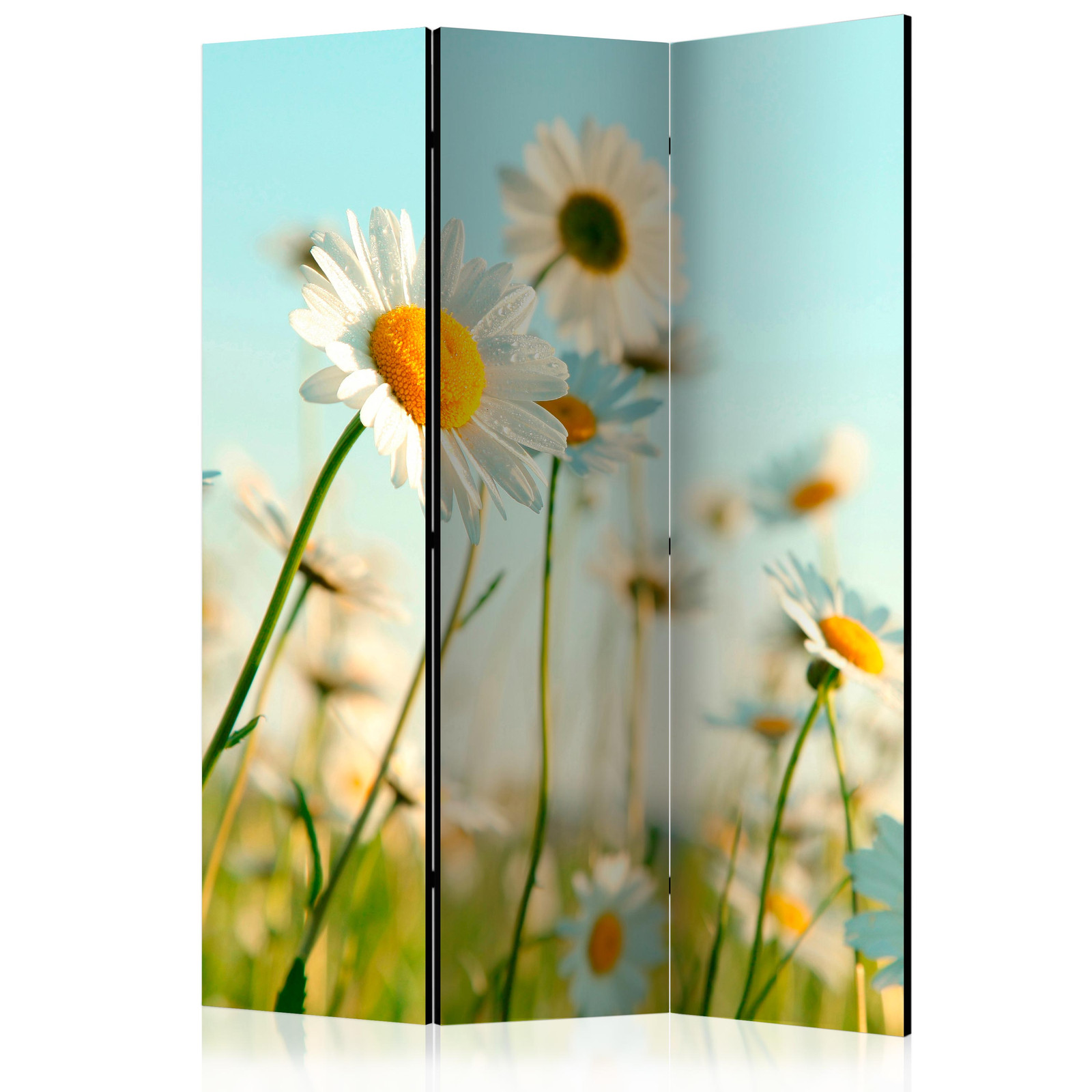 Διαχωριστικο Δωματιου - Daisies - Spring Meadow Ηχοαπορροφητικο 135x172cm