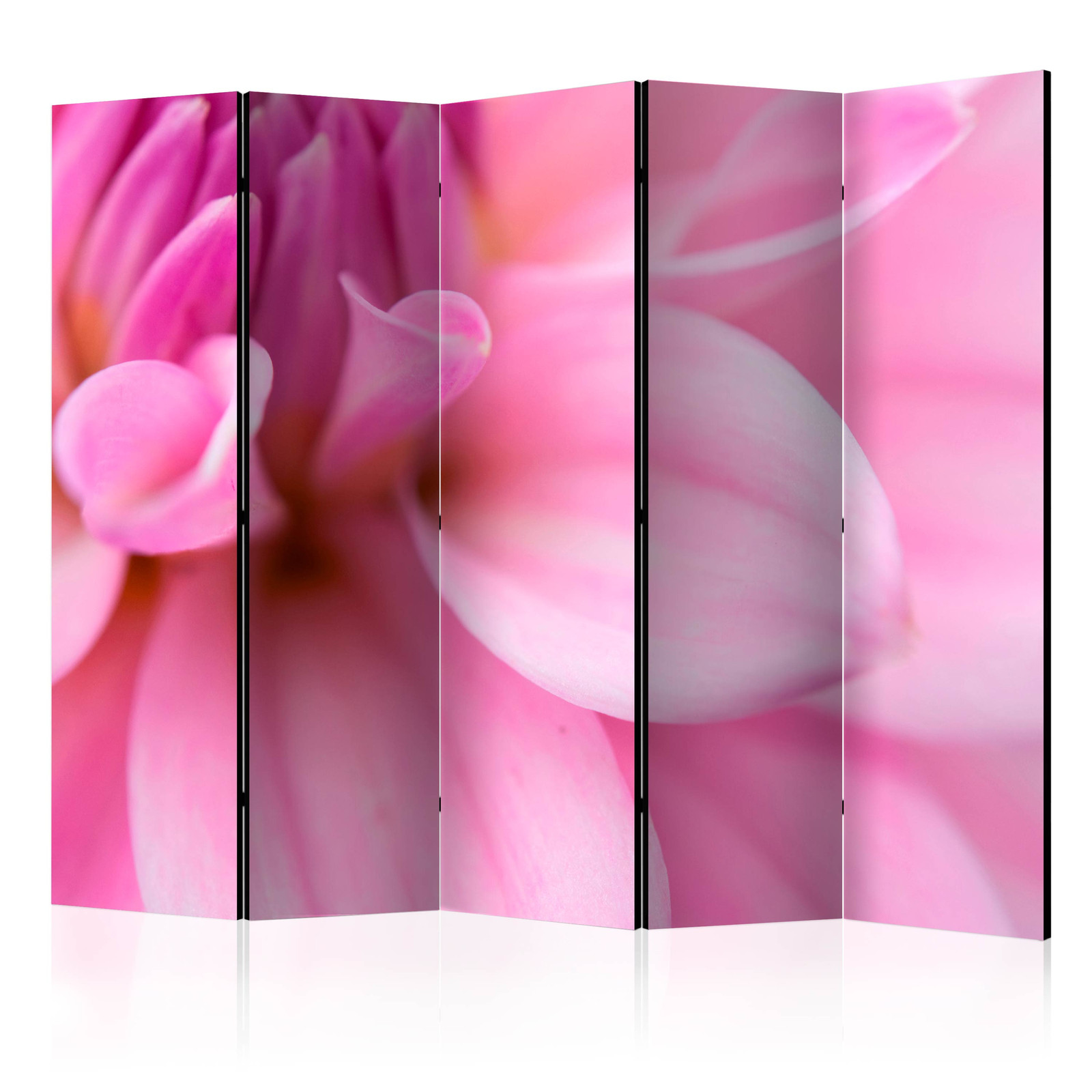 Διαχωριστικο Δωματιου - Flower Petals - Dahlia Ii Ηχοαπορροφητικο 225x172cm