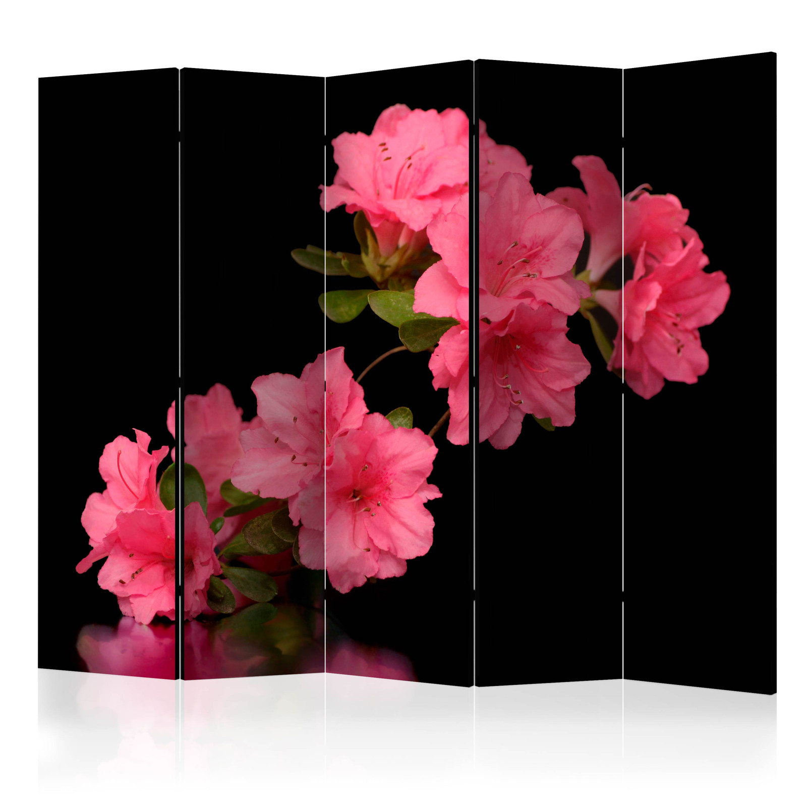 Διαχωριστικο Δωματιου - Azalea In Black Ii Ηχοαπορροφητικο 225x172cm