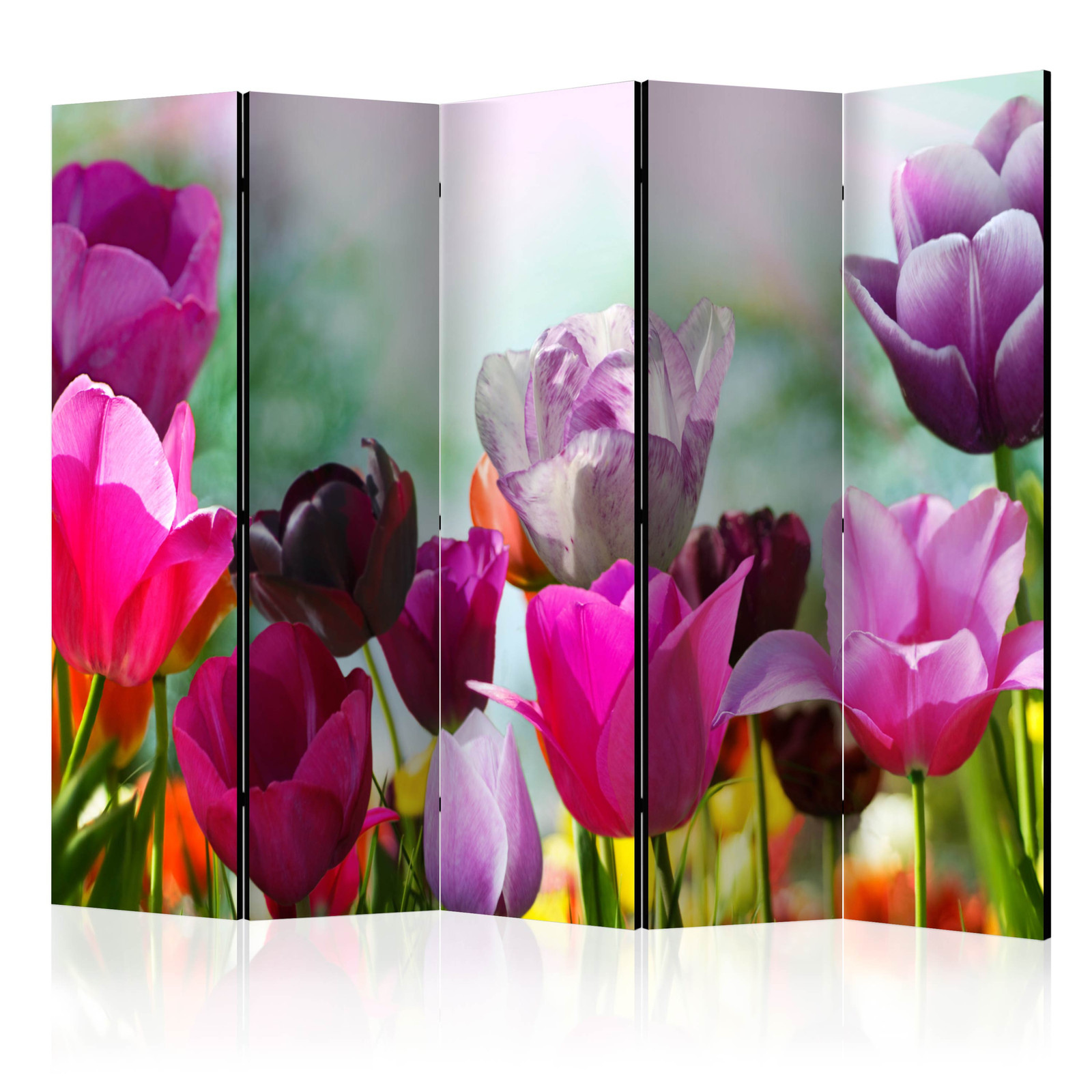 Διαχωριστικο Δωματιου - Beautiful Tulips Ii Ηχοαπορροφητικο 225x172cm