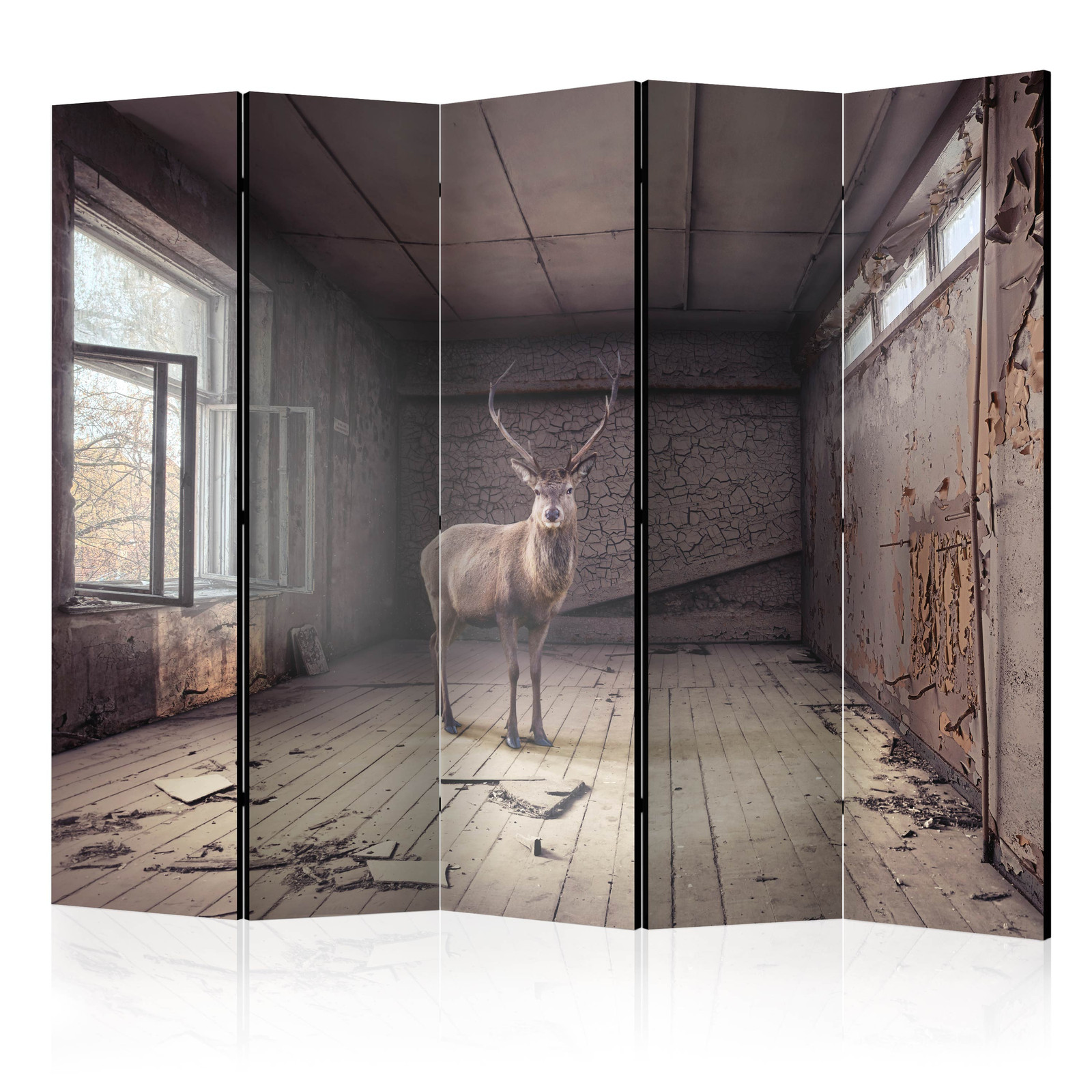 Διαχωριστικο Δωματιου - Lost Ii Μονης Οψης 225x172cm