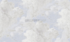 Ταπετσαρια Τοιχου History Of Art Ανοιχτο Γκρι