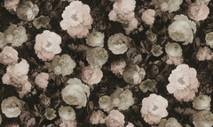 Ταπετσαρια Τοιχου History Of Art Καφε