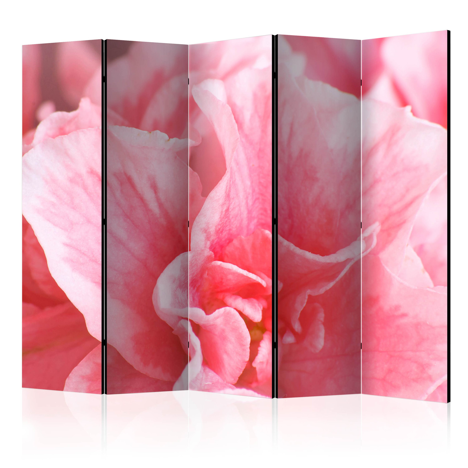 Διαχωριστικο Δωματιου - Pink Azalea Flowers Ii Ηχοαπορροφητικο 225x172cm