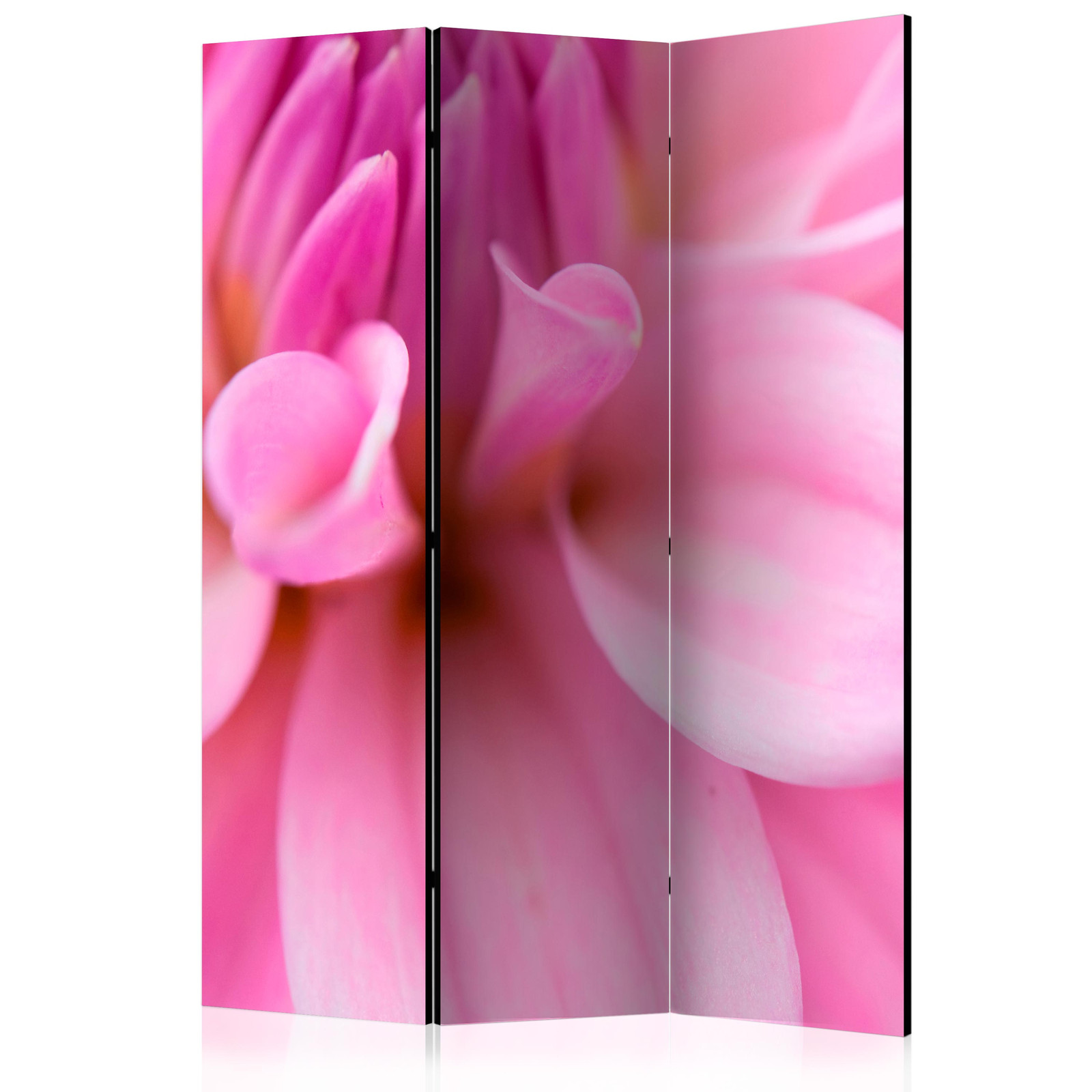 Διαχωριστικο Δωματιου - Flower Petals - Dahlia Ηχοαπορροφητικο 135x172cm