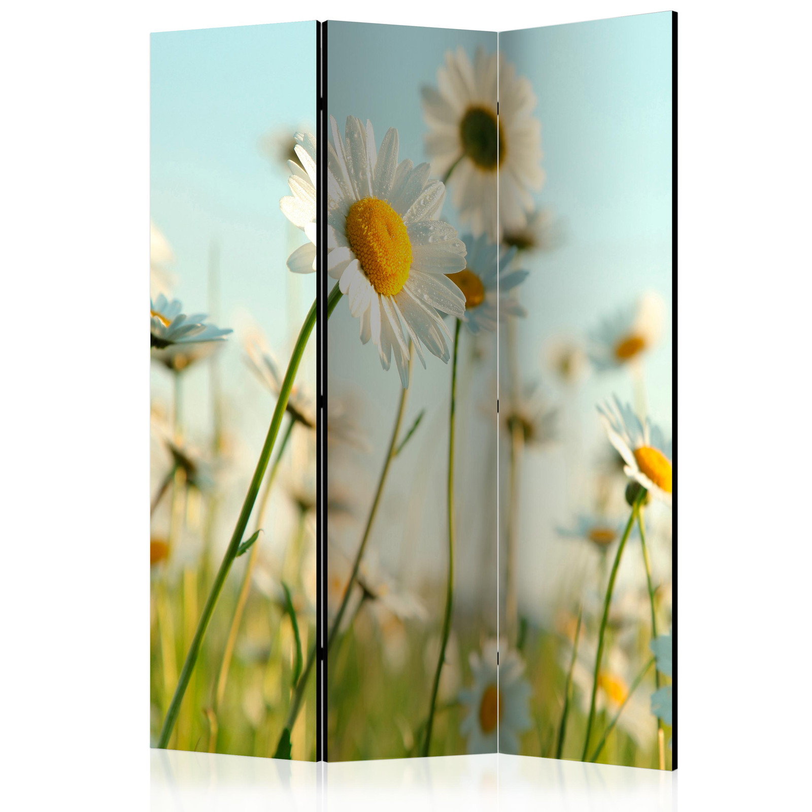 Διαχωριστικο Δωματιου Daisies Spring Meadow Ηχοαπορροφητικο 135x172cm