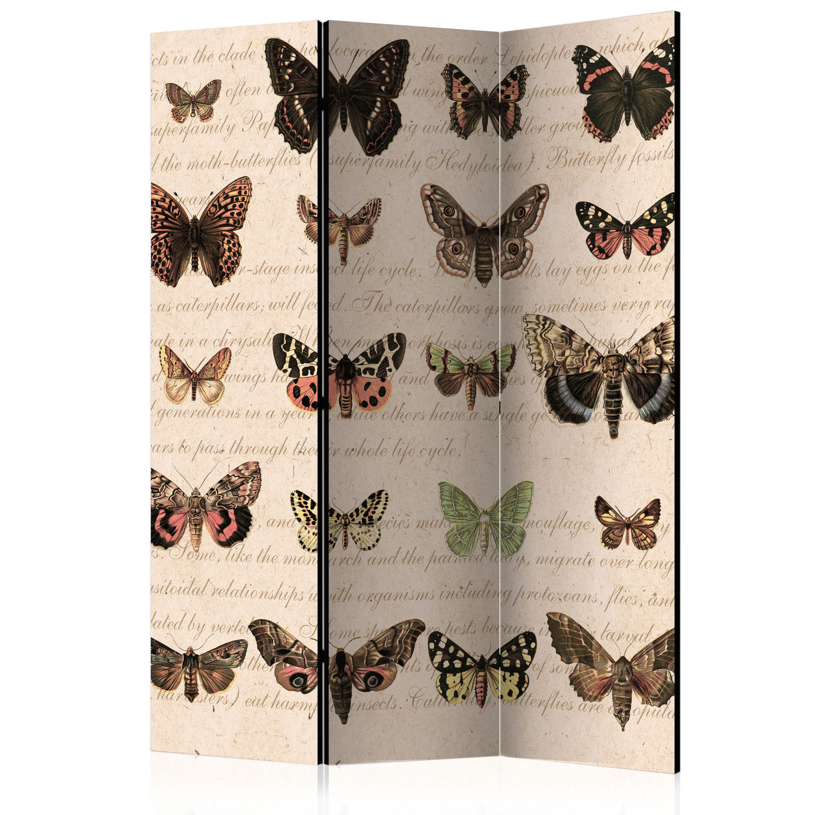 Διαχωριστικο Δωματιου - Retro Style: Butterflies Ηχοαπορροφητικο 135x172cm
