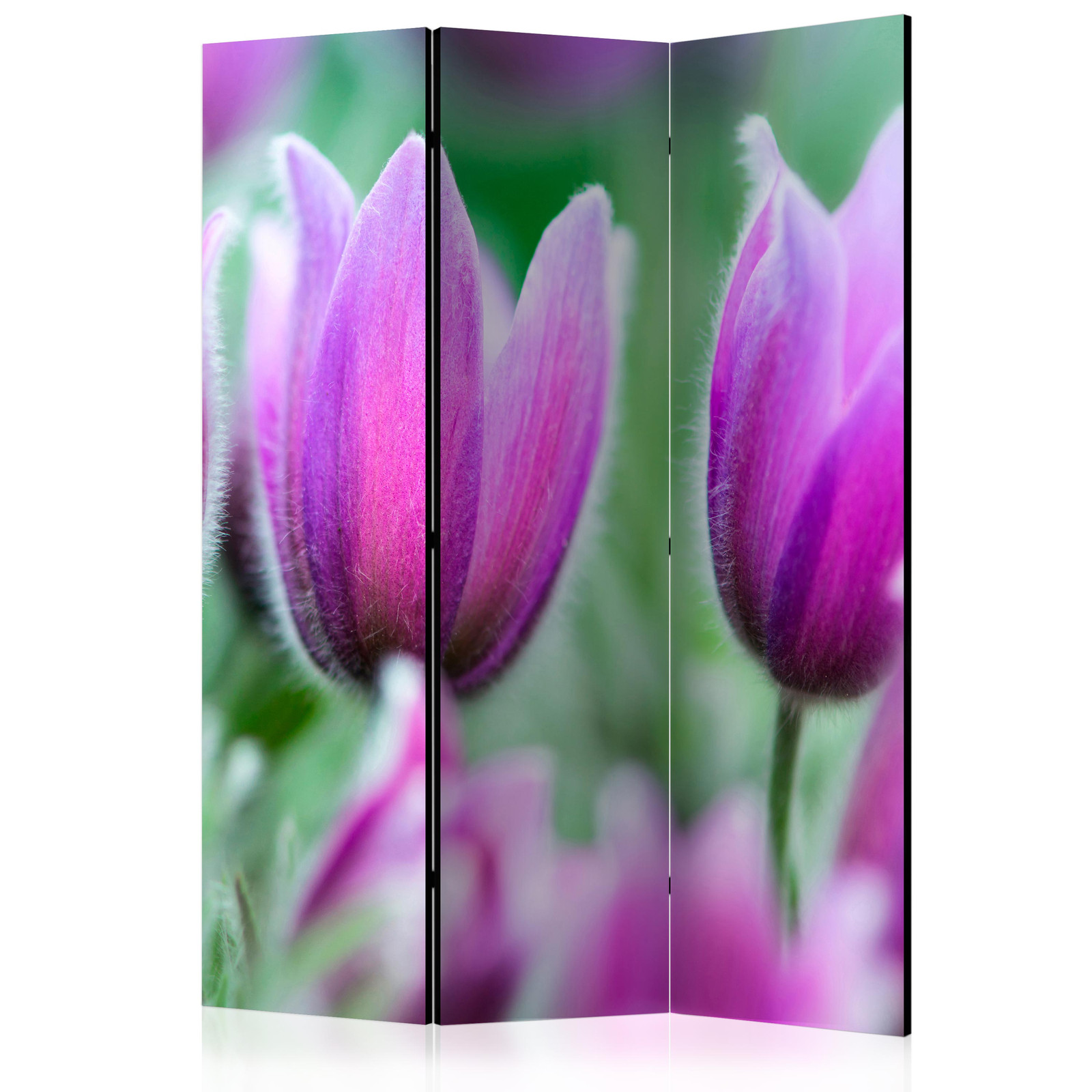 Διαχωριστικο Δωματιου - Purple Spring Tulips Ηχοαπορροφητικο 135x172cm