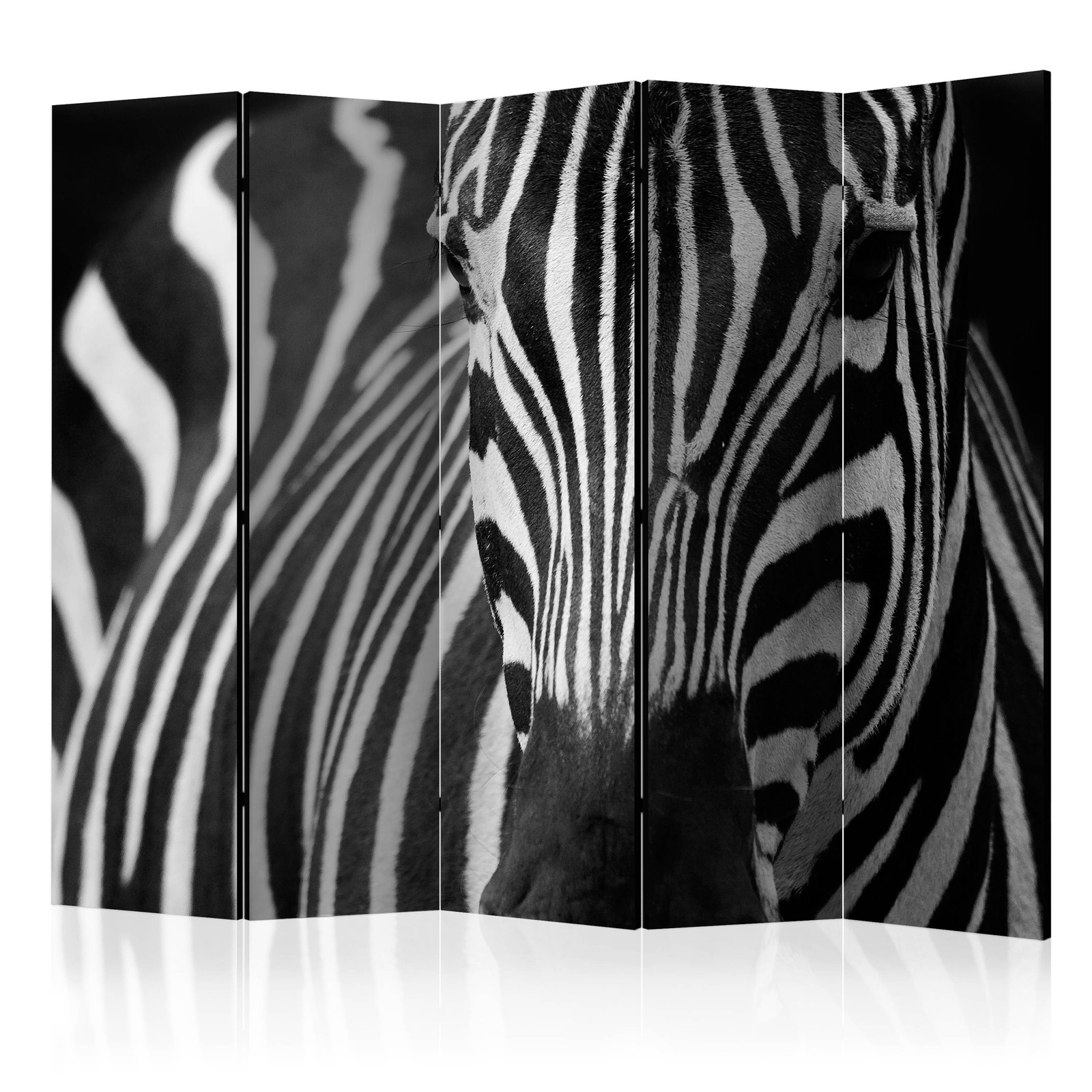 Διαχωριστικο Δωματιου - White With Black Stripes Ii Ηχοαπορροφητικο 225x172cm