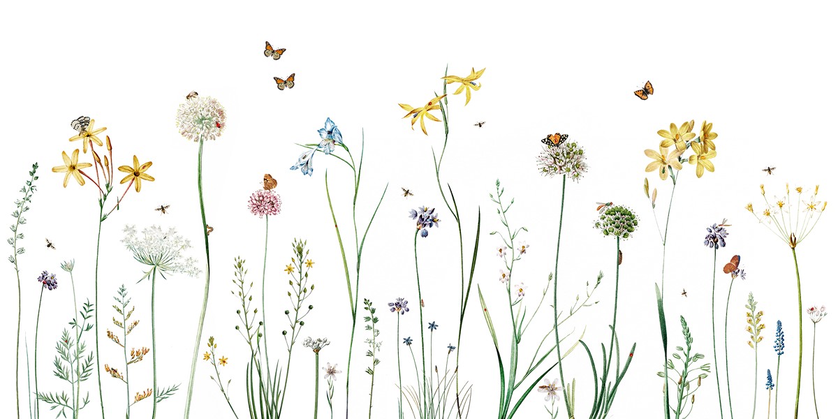 Butterfly Garden Ταπετσαρια Τοιχου Λευκο