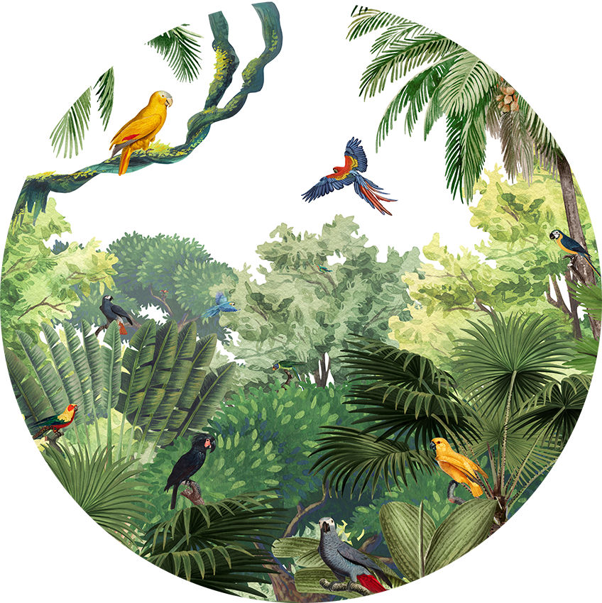 Canopy Jungle Ταπετσαρια Τοιχου Πρασινο Στρογγυλη Διαφορα Μεγεθη
