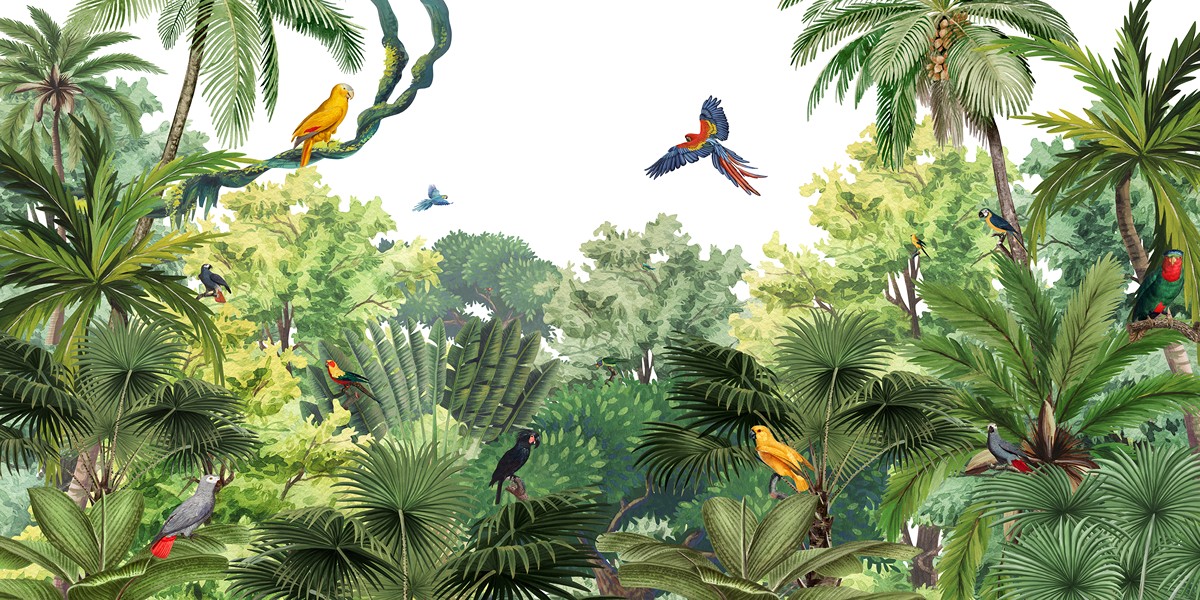 Canopy Jungle Ταπετσαρια Τοιχου Πρασινο