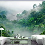 Φωτοταπετσαρια - Morning Fog Αδιαβροχη 200x140cm
