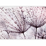 Φωτοταπετσαρια - Rainy Time Αδιαβροχη 350x245cm