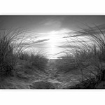 Φωτοταπετσαρια - Beach (black And White) Αδιαβροχη 250x175cm