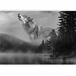 Φωτοταπετσαρια - Forest Secrets Αδιαβροχη 350x256cm