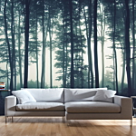 Φωτοταπετσαρια - Dark Forest Αδιαβροχη 400x280cm