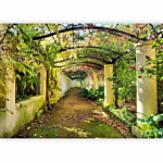 Φωτοταπετσαρια - Pergola Αδιαβροχη 150x105cm