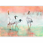 Φωτοταπετσαρια - Cranes In Pastels Αδιαβροχη 350x245cm