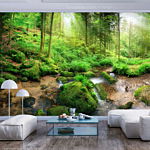 Φωτοταπετσαρια - Humid Forest Αδιαβροχη 300x210cm