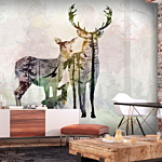 Φωτοταπετσαρια - Forest Family Αδιαβροχη 350x245cm