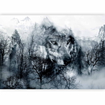 Φωτοταπετσαρια - Mountain Predator (black And White) Αδιαβροχη 100x70cm