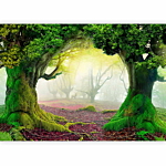 Φωτοταπετσαρια - Enchanted Forest Αδιαβροχη 350x256cm