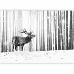 Φωτοταπετσαρια - Deer In The Snow (black And White) Αδιαβροχη 300x210cm