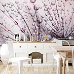 Φωτοταπετσαρια - Rainy Time Αδιαβροχη 350x245cm