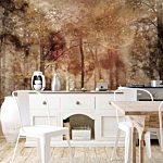 Φωτοταπετσαρια - Lost In The Woods Αδιαβροχη 250x175cm