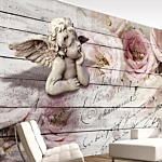 Φωτοταπετσαρια - Angel And Calm Αδιαβροχη 100x70cm