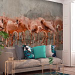 Φωτοταπετσαρια - Exotic Birds - Pink Flamingos With Shadow On Grey Concrete Background Αδιαβροχη 400x280cm