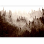 Φωτοταπετσαρια - Mountain Forest (sepia) Αδιαβροχη 250x175cm