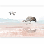 Φωτοταπετσαρια - Cranes Over The Water Αδιαβροχη 400x280cm